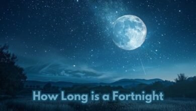 How long is a fortnight